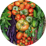 Veggies & Herbs