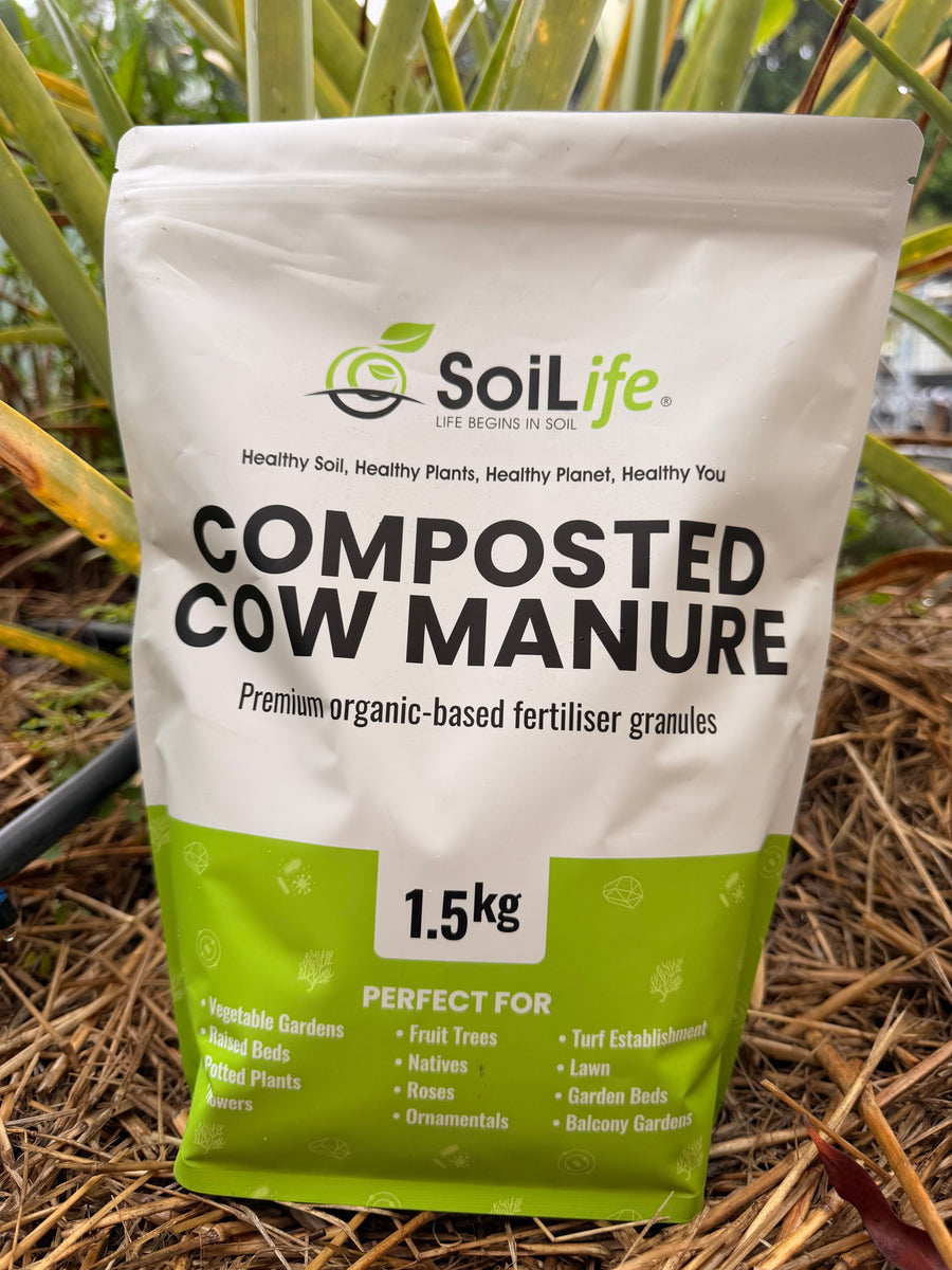 Composted Cow Manure