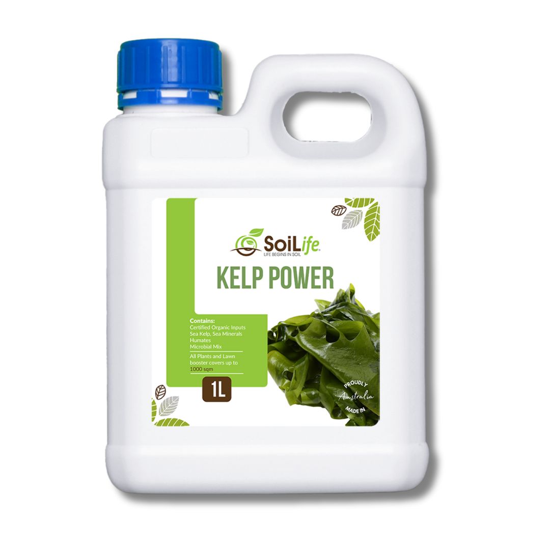 Kelp Power