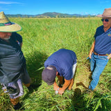 Soil DNA Testing
