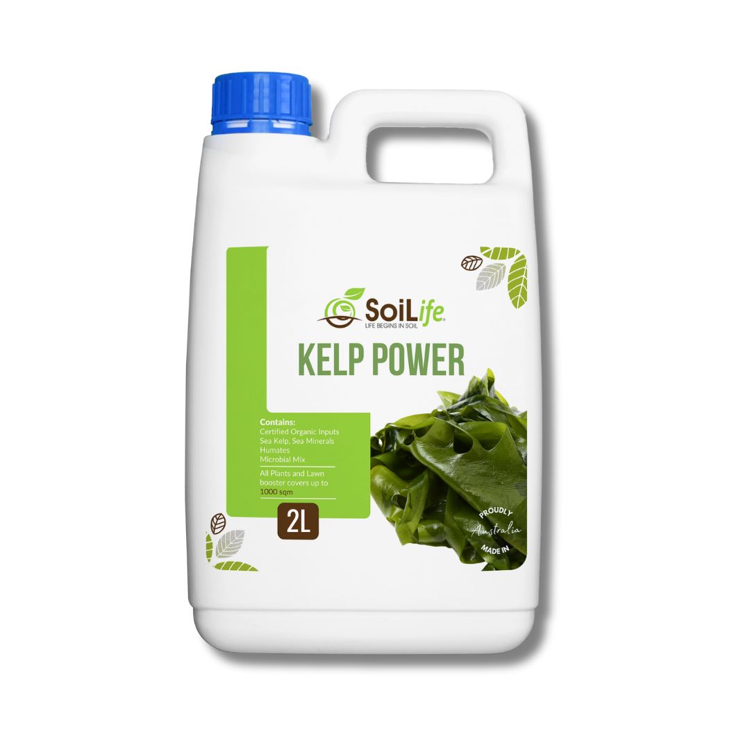 Kelp Power