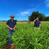 Farm Consultation