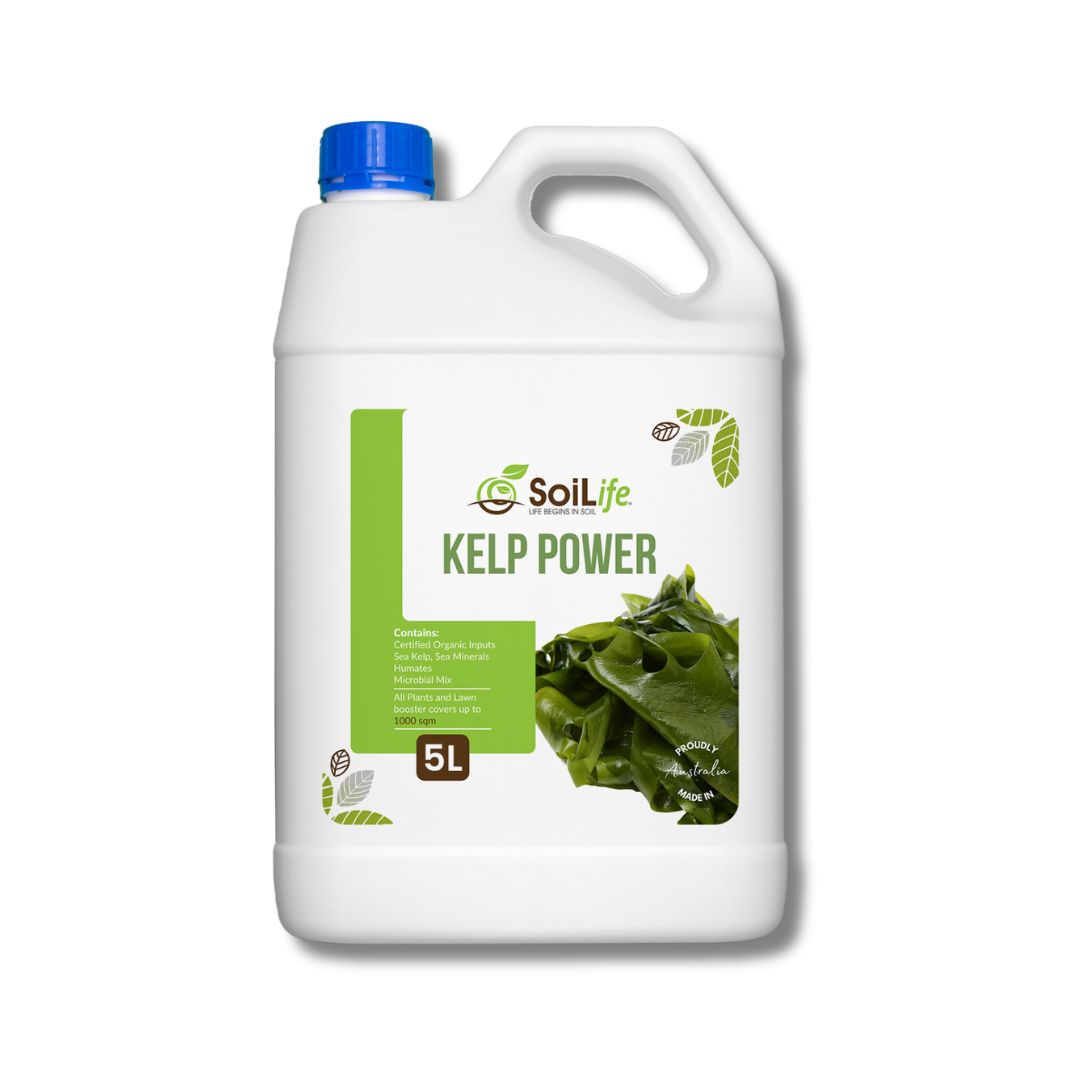 Kelp Power