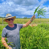 Farm Consultation
