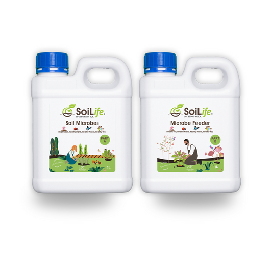 Soil Microbes + Feeder