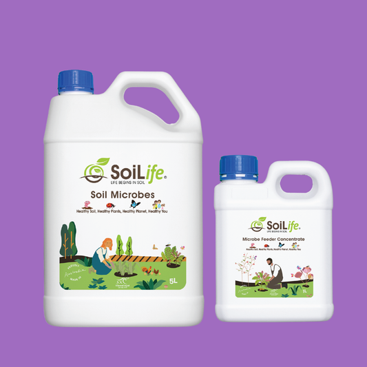 Soil Microbes + Feeder