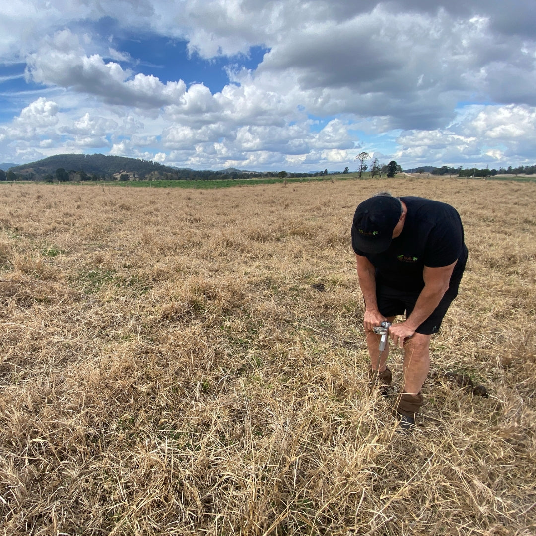 Soil DNA Testing