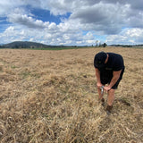 Soil DNA Testing