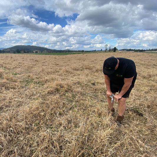 Soil DNA Testing