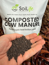 Composted Cow Manure