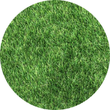 Lawns & Turf