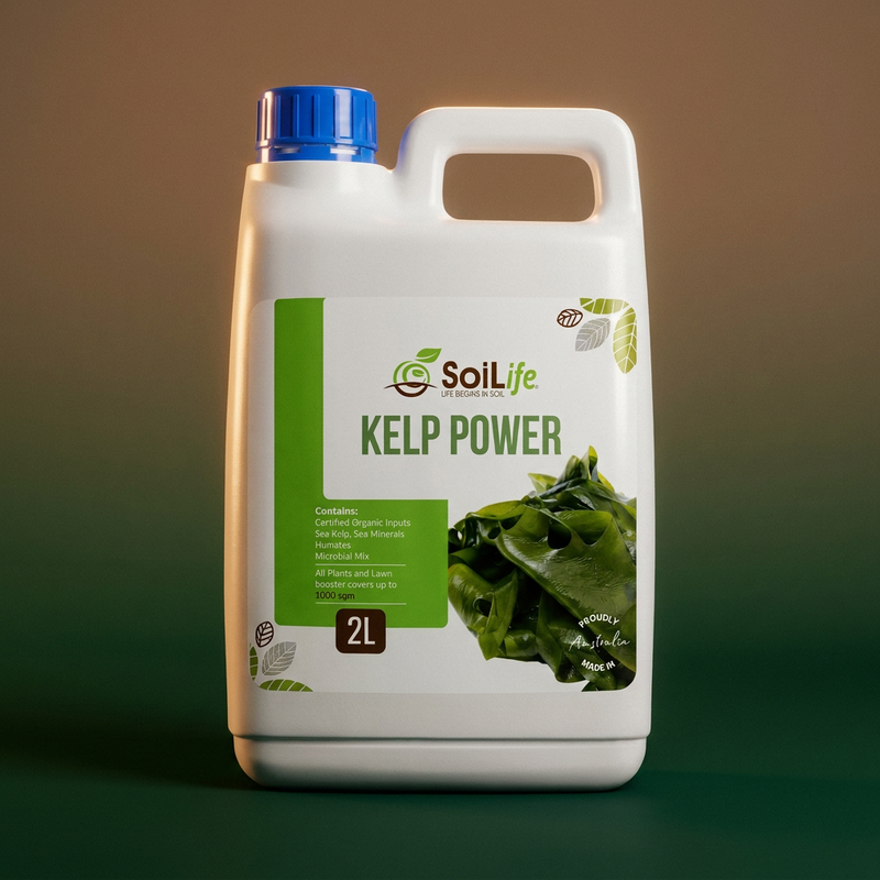 Kelp Power