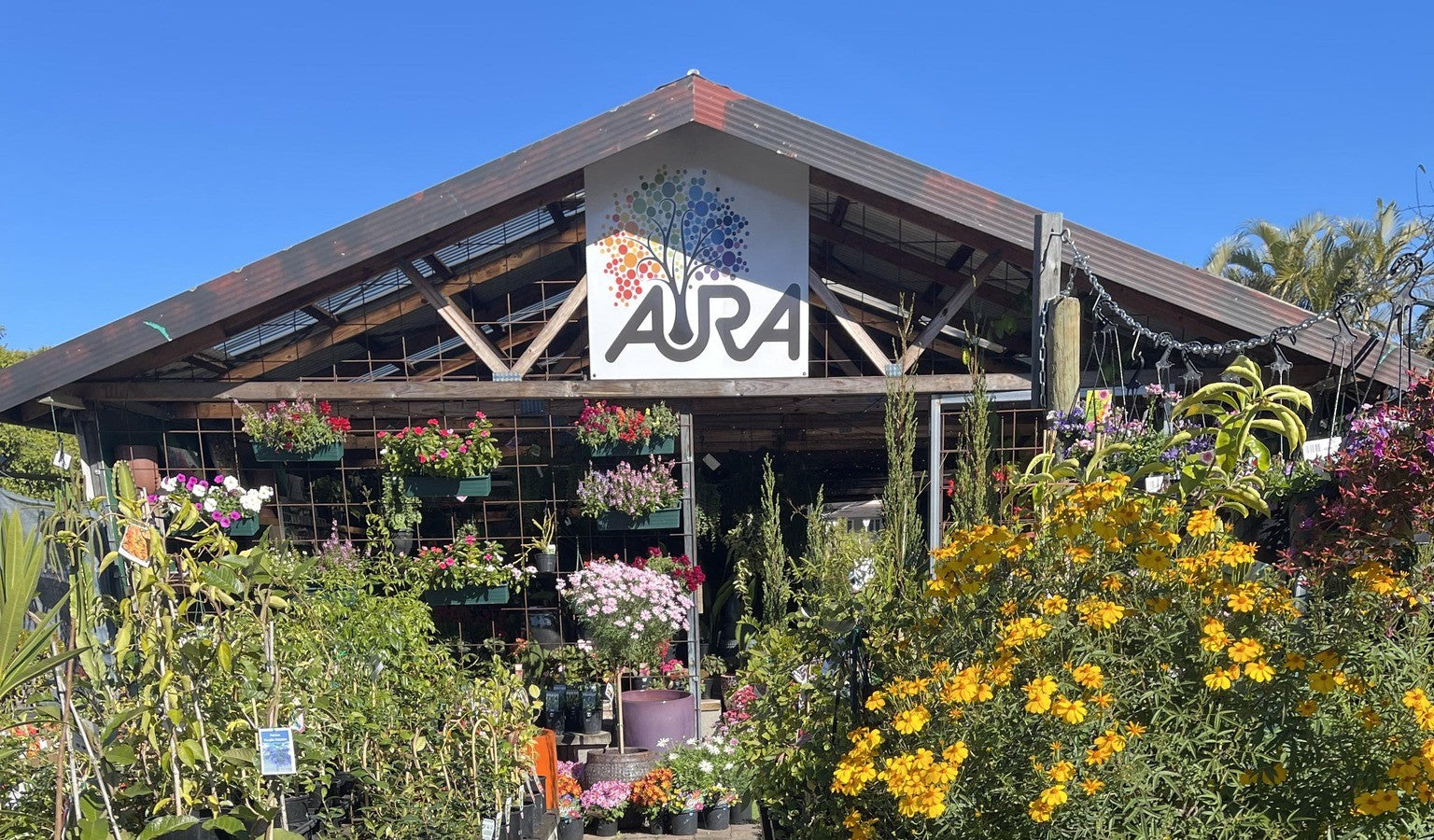 Garden nursery with plants and seedlings